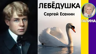 Лебёдушка Есенин С. Слушать стихи Есенина