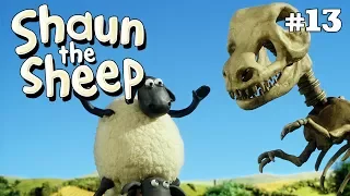 Fossils | Shaun the Sheep Season 3 | Full Episode