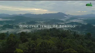 Discover Jewel of Borneo - Borneo Rainforest Lodge at Danum Valley, Malaysian Borneo