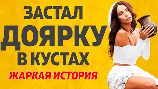 ТЕЩА ЗЯТЬ - ДОЯРКА В КУСТАХ l РАССКАЖУ ТЕБЕ. ЛЮБОВНЫЕ ИСТОРИИ.