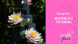 How to make a gumpaste / flower paste /sugar Waterlily - a step by step tutorial