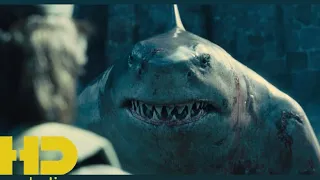 King shark being funny for 1 minute