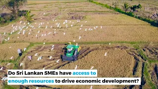 Do Sri Lankan SMEs have access to enough resources to drive economic development?