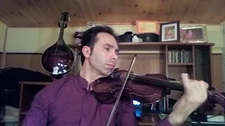 Anónimo veneziano Violín Giuseppe Borneo Di Domenico