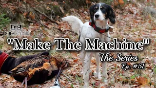 Bird Dog Hunting Wisconsin Woodcock! English Setters First Season | Ep: #51