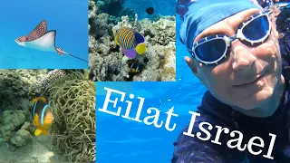 Eilat Red Sea swimming tour
