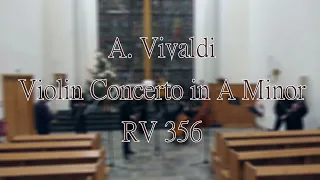 Vivaldi: Violin Concerto in A Minor RV 356 | De Profundis Ensemble