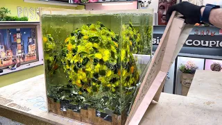 Pouring a Huge Layer of 220 Lbs - 100 kg Epoxy Resin!