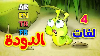 الدودة باللغات الأربع ( العربية - الإنجليزية - التركية - الفرنسية ) طيور بيبي Toyor Baby