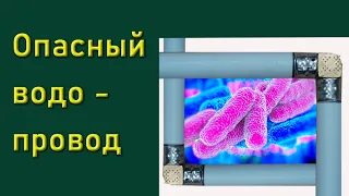 Опасность легионелы  и современный водопровод.