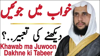 Interpretation of Seeing Lice in a Dream | Khwab mein Juwoon Dekhne Ki Tabeer | QRI Islam