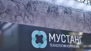 Мустанг технология кормления