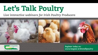 Let's Talk Poultry Webinar - Poultry Nutrition - Time to Take Stock