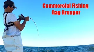 ONE HOUR Commercial Gag Grouper Fishing