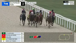 Gulfstream Park Carrera 3 - 29 de Marzo 2023