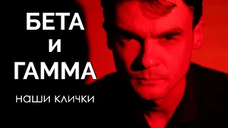 Наши клички для типов квадры Бета и Гамма в картинках. Соционика