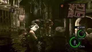 Resident Evil 5 Lost in Nightmare Professional solo run (No Damage) (PS4)