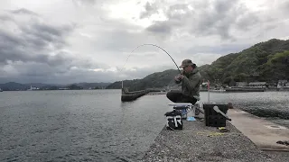 離島の小さな堤防にバケモノがいた…