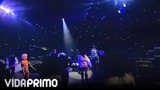 DON OMAR : DANZA KUDURO @ HECHO EN PUERTO RICO