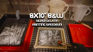 8x10" B&W Silver Gelatin Printing Speedrun! - Large Format Friday