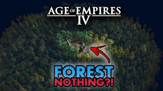 Forest Nothing in AoE4 ?!