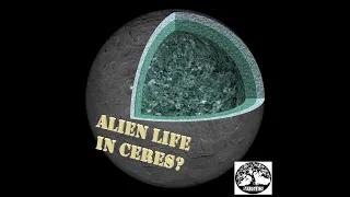 WHAT WAS DISCOVERED IN DWARF PLANET CERES?