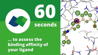 60 seconds to assess the binding affinity of your ligand!