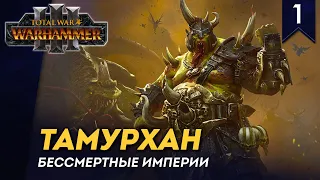[СТРИМ] Тамурхан | Часть #1 | Бессмертные Империи | кампания Total War: Warhammer 3