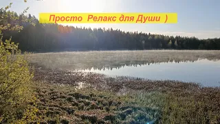 Просто Релакс для Души ! Весна ! Утро ! Озеро ! Пение птиц !  Видео 4К .