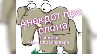 Анекдот про слона от канала Мы из Краснодара
