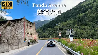 行驶在中国熊猫大道-四川省阿坝州达维镇至四姑娘镇