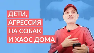 Дети, агрессия на собак и хаос дома