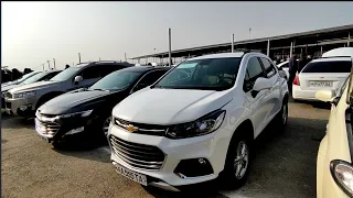 Malibu Kaptiva Tracker Gentra Cobalt Nexia 3 narxlari 13-Dekabr 2021-yil Namangan moshina bozori