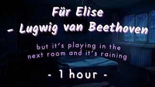 it's raining outside and Für Elise by Beethoven is playing in the next room (1 hour sleep/study)