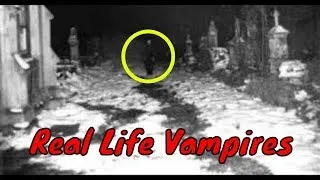 10 Most Disturbing Real Life Vampire Cases Ever Reported