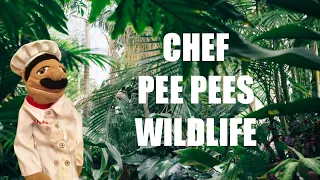 CPP Movie:Chef pee pees wildlife