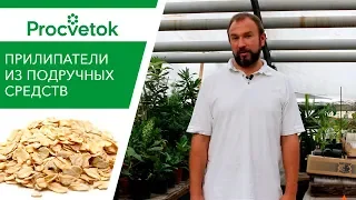 ТОП-8 народных ПРИЛИПАТЕЛЕЙ для внекорневой обработки растений. Обзор.