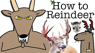 Your Life as a Reindeer