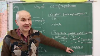 Правознавство, Місцеве самоврядування