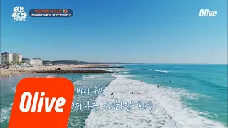 One Night Food Trip 2018 서퍼라면 리스본으로 가야해~! 180515 EP.12