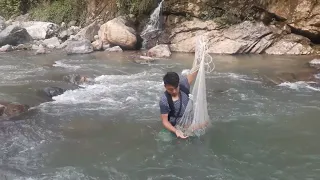 HIMALAYAN TROUT FISHING WITH CAST-NET | ASALA FISHING IN SMALL HILLY RIVER OF NEPAL |