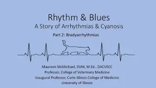 Rhythm and Blues, Part 2: Bradyarrhythmias