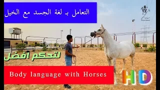 التعامل بلغة الجسد مع الخيل | Body language with horses