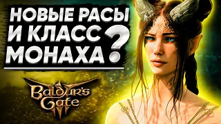 Анонс Panel From Hell, Новые Расы, Класс Монаха и Другое! – Новости Baldur’s Gate 3