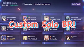 Fun custom BR match | SMC | Merlin⚡