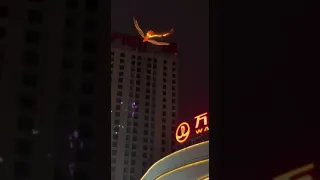 Управляемого дроном воздушного змея феникса запустили в Китае