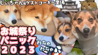 【犬猫アテレコ】お祭り!かつてないわちゃわちゃ‼そしてガーゴイル