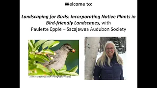 Landscaping for Birds: Incorporating Native Plants in Bird-friendly Landscapes, with Paulette Epple