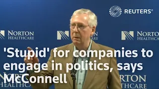 'Stupid' for companies to engage in politics, says McConnell