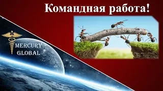 Командная работа  Вместе мы сила!!!